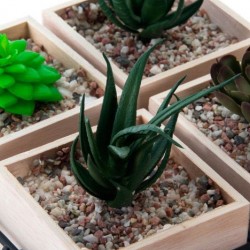 ديكورية نباتات صناعي عدد 4 أحواض 20 * 20 * 19