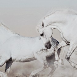 لوحة حائط ديكورية على شكل ( أحصن بيضاء ) , قياس 122X2,3X42احصنة