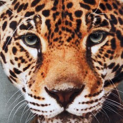 لوحة حائط ديكورية على شكل فهد من الخشب قياس 74 * 3 * 97 