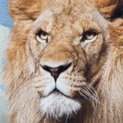 لوحة حائط ديكورية على شكل حيوان ( الأسد ) من الخشب قياس 74 * 3 * 97 