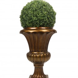 كرة نباتات ديكورية