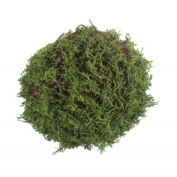 كرة نباتات ديكورية 