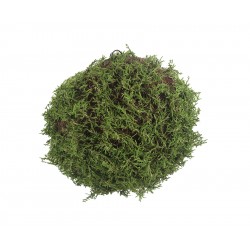 كرة نباتات ديكورية 