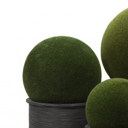 كرة نباتات ديكورية