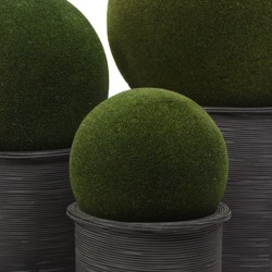 كرة نباتات ديكورية