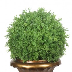 كرة نباتات ديكورية