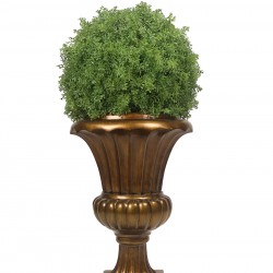 كرة نباتات ديكورية