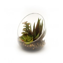 وعاء ازهار زجاجي