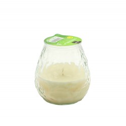 شمعة مكافحة للحشرات