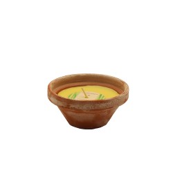 شمعة مكافحة للحشرات