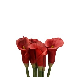 زهرة " كالا " صناعي زهرة " كالا " صناعي