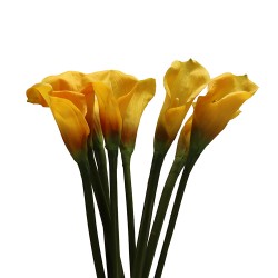 زهرة " كالا " صناعي زهرة " كالا " صناعي