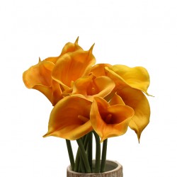 زهرة " كالا " صناعي زهرة " كالا " صناعي