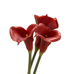 زهرة " كالا "صناعي زهرة " كالا "صناعي