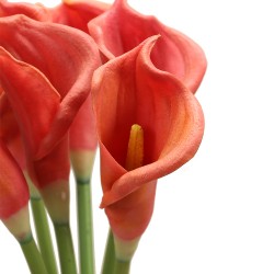 زهرة " كالا "صناعي زهرة " كالا "صناعي