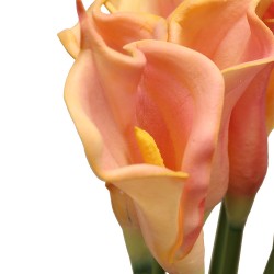 زهرة " كالا " صناعي زهرة " كالا " صناعي