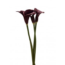 زهرة  " كالا "  صناعي 