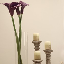 زهرة " كالا " صناعي زهرة " كالا " صناعي