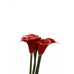 زهرة " كالا " صناعي 