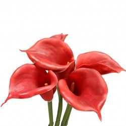 زهرة " كالا " صناعي زهرة " كالا " صناعي