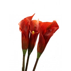 زهرة " كالا " صناعي زهرة " كالا " صناعي