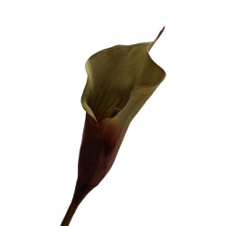 زهرة " كالا "صناعي زهرة " كالا "صناعي