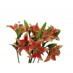 زهرة الليليوم صناعي