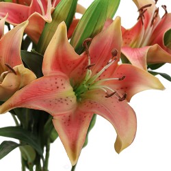 زهرة الليليوم صناعي زهرة الليليوم صناعي