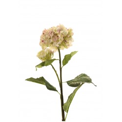 زهرة قرطاسيا صناعي