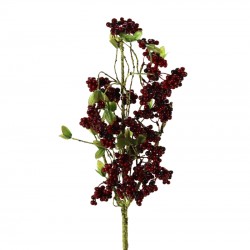 فاكهة ألاكاسيا صناعي فاكهة ألاكاسيا صناعي