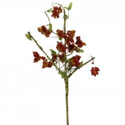 فاكهة ألاكاسيا صناعي فاكهة ألاكاسيا صناعي