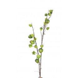 نبات الحرنكش صناعي