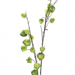 نبات الحرنكش صناعي نبات الحرنكش صناعي