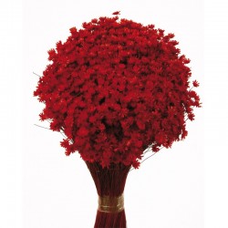 أزهار مجففه