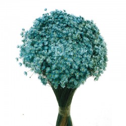 أزهار مجففه