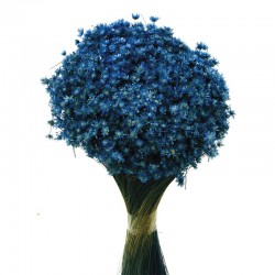 أزهار مجففه