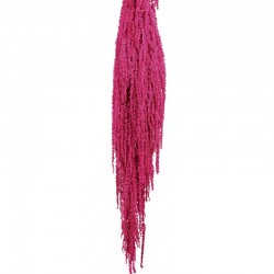 أزهار مجففة متدلية