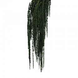 أزهار مجففة متدلية