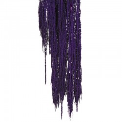 أزهار مجففة