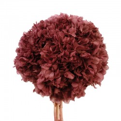 أزهار مجففة