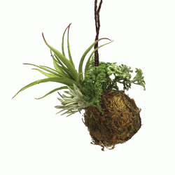 كرة نباتات معلقة صناعي