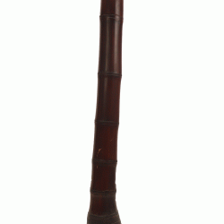 نبات الخيزران حجم كبير نبات الخيزران حجم كبير