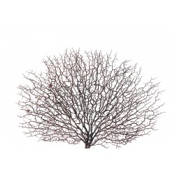 نبات ديكوري صناعي