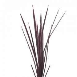 نبات صناعي نبات صناعي