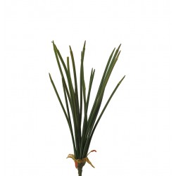 نبات  صناعي