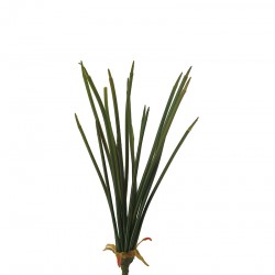 نبات صناعي نبات صناعي