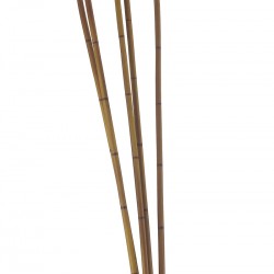 نبات صناعي نبات صناعي