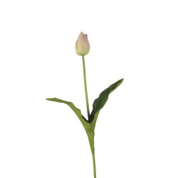 وردة توليب لون أرجواني فاتح 70