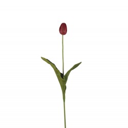 وردة توليب لون أرجواني ملون صغير 70