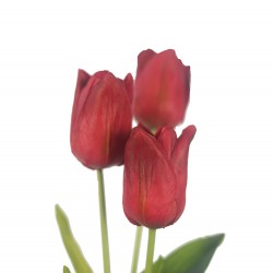 وردة توليب لون أحمر داكن 70